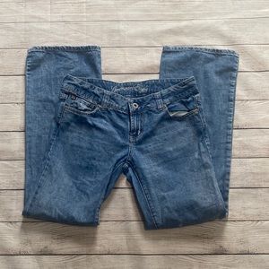 American Eagle Low Rise Flare Jeans
